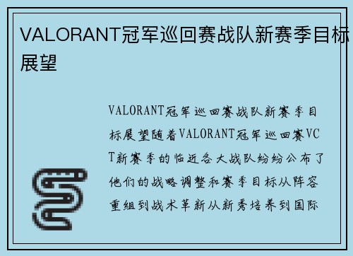 VALORANT冠军巡回赛战队新赛季目标展望