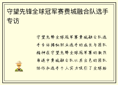 守望先锋全球冠军赛费城融合队选手专访